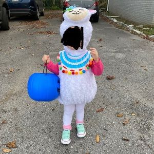 Llama costume size 18-24m.